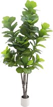 Kunstmatige Fiddle Leaf Fig Boom 213 cm – 7 ft – Meerstammig – Met Witte Pot & Sierkiezels – Realistische Zijden Bladeren – Onderhoudsvrij – Voor Woonkamer, Kantoor, Hal & Entree