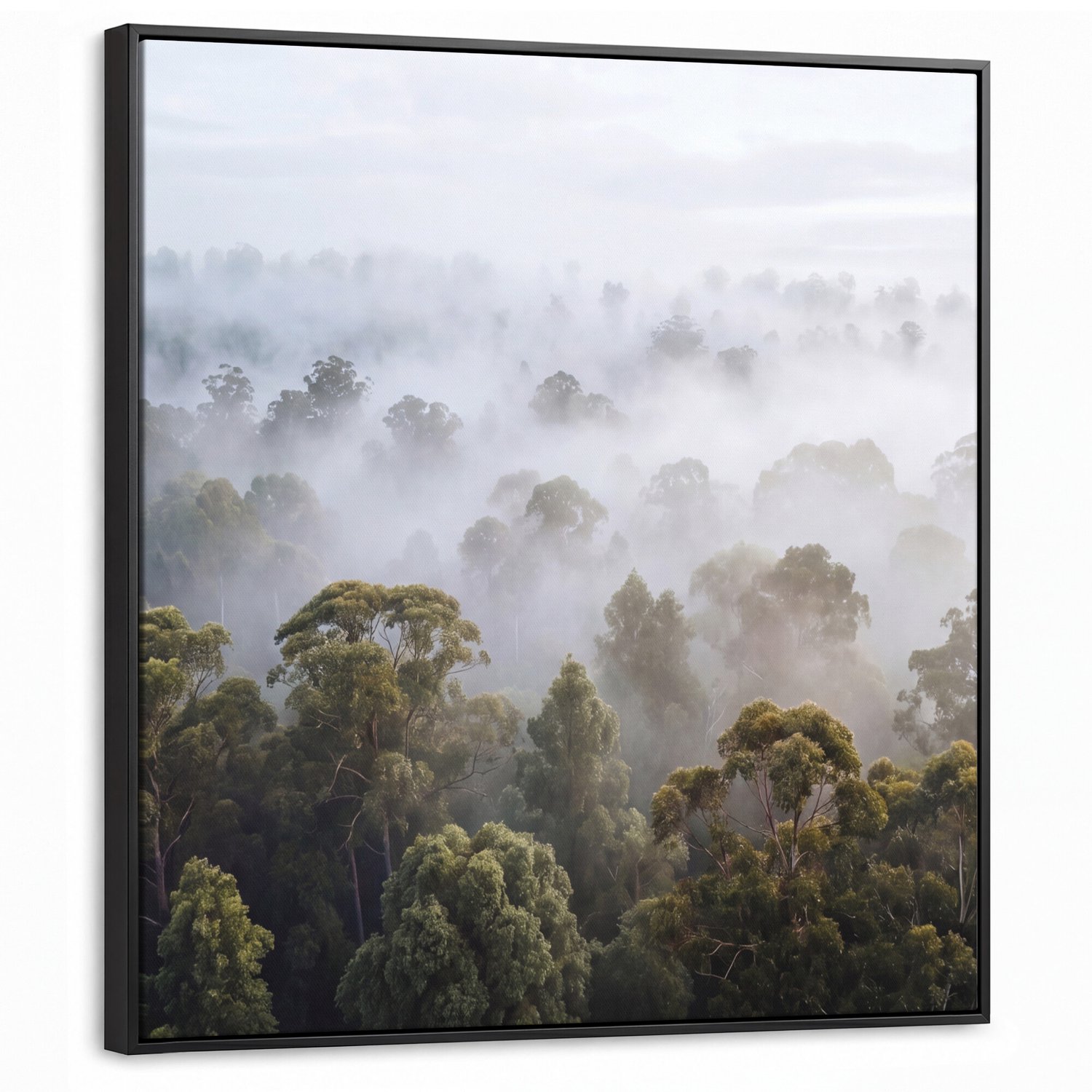 Canvas Schilderij met Baklijst - Natuur - Mist - Bos - Ochtend - Goud