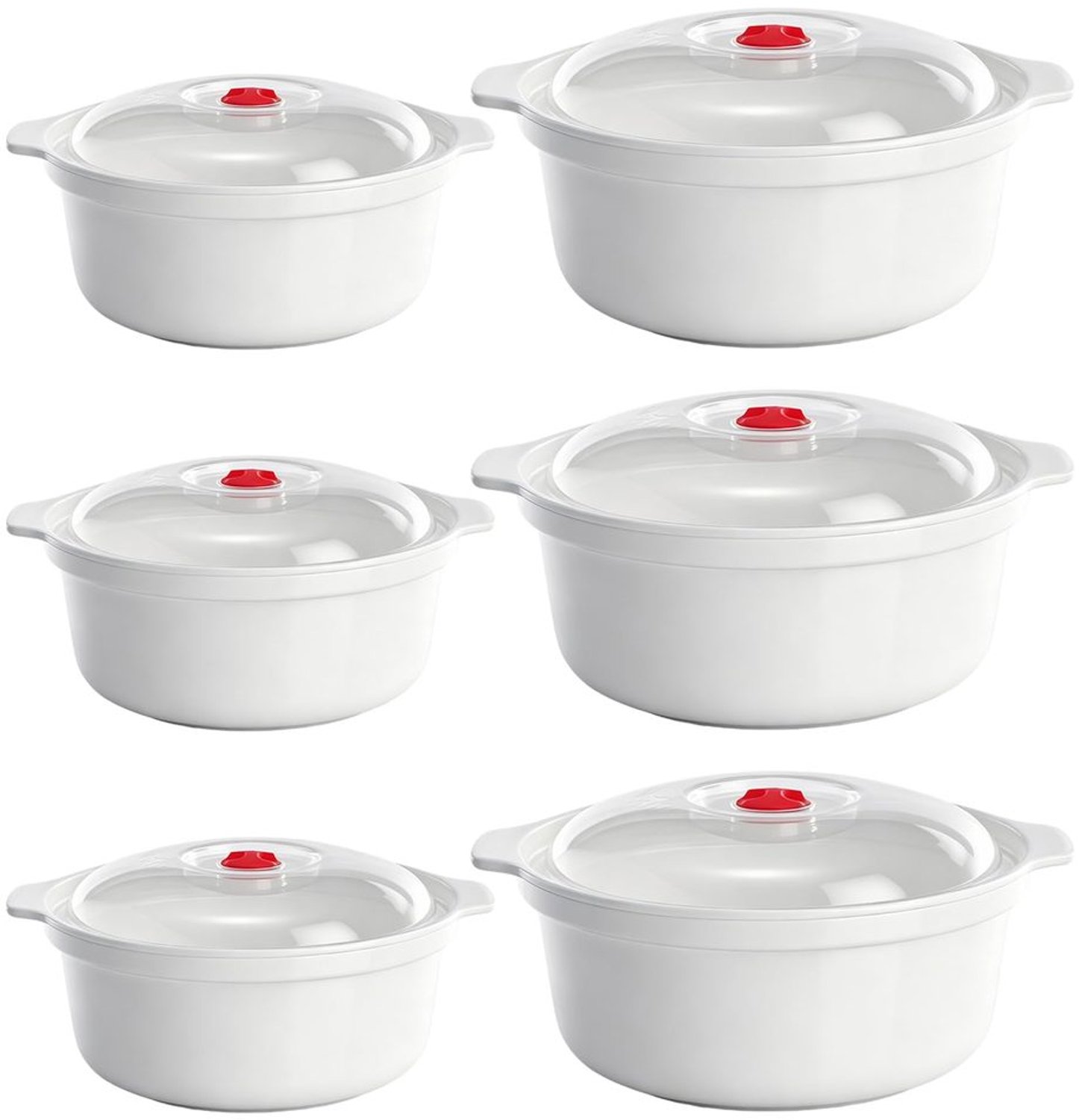 Set van 6 Magnetron Bakjes met Deksel, BPA-vrij