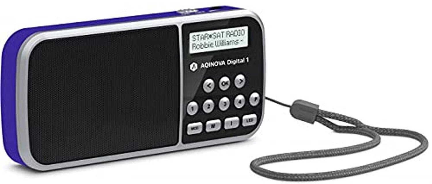 Draagbare DAB+/FM Radio met LCD-display en Accu