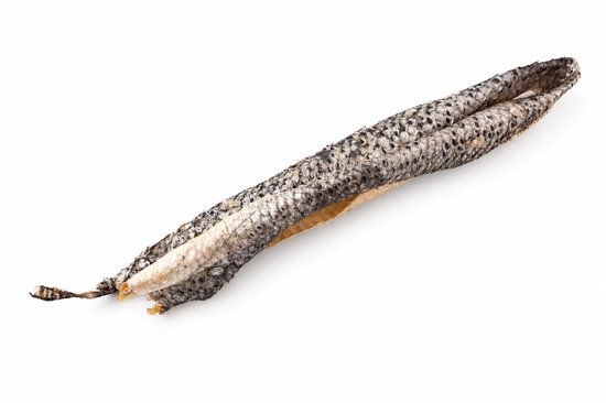 Gedroogde zalmhuid snack met een grijzig, geschubd patroon en lichtgekleurde binnenkant.
