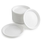 KURTT - 100 Plastic borden onverdeeld (stevig) - herbruikbare borden ( europese norm EN12875-1 gecertificeerd) reusable - ø 22cm