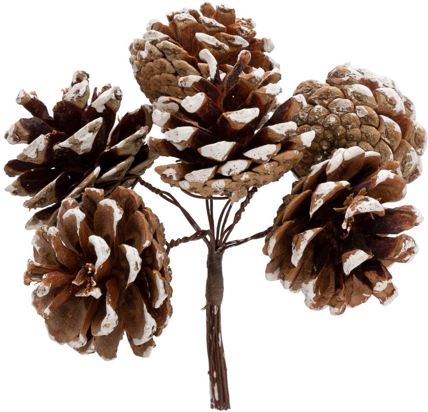 Feeric lights & Christmas Boekje met witte kerstdennenappels, 12 cm Marron