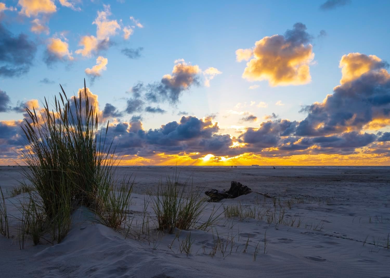 Rasch Fotobehang Strand Zonsondergang Blauw Beige 2.65x3.71m