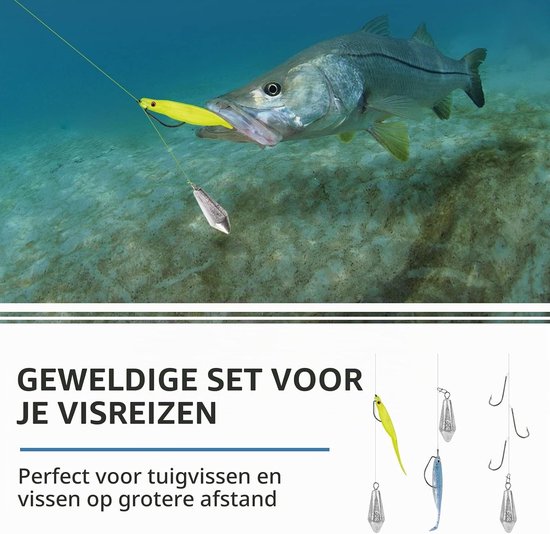 Ground Dropshot Lood Gewichten voor Zoetwatervissen - Perfect voor Baars, Forel en Meerval Accessoires — afbeelding 4