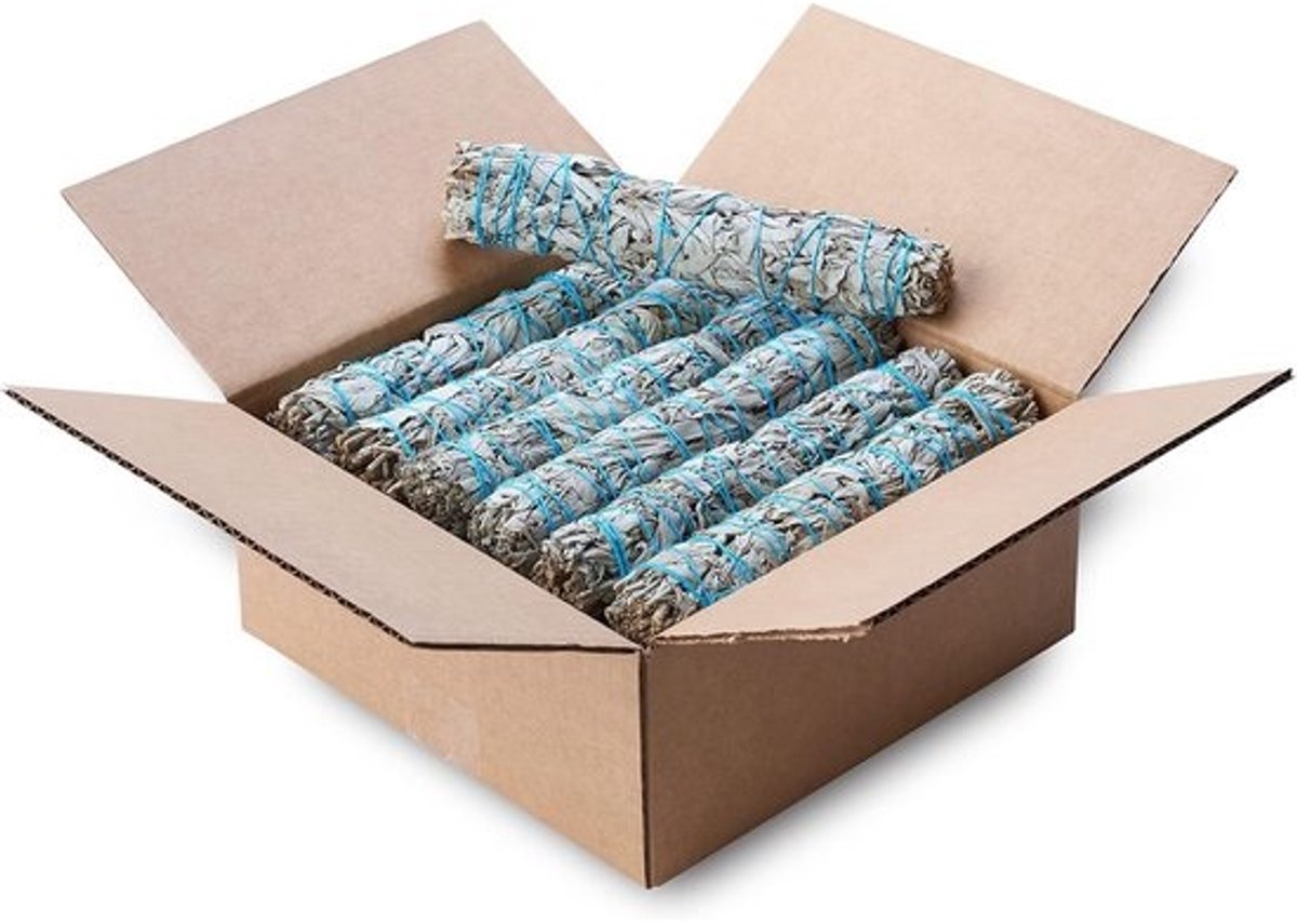 Grote Bundels Witte Salie Smudge Sticks voor Reiniging en Spirituele Groei