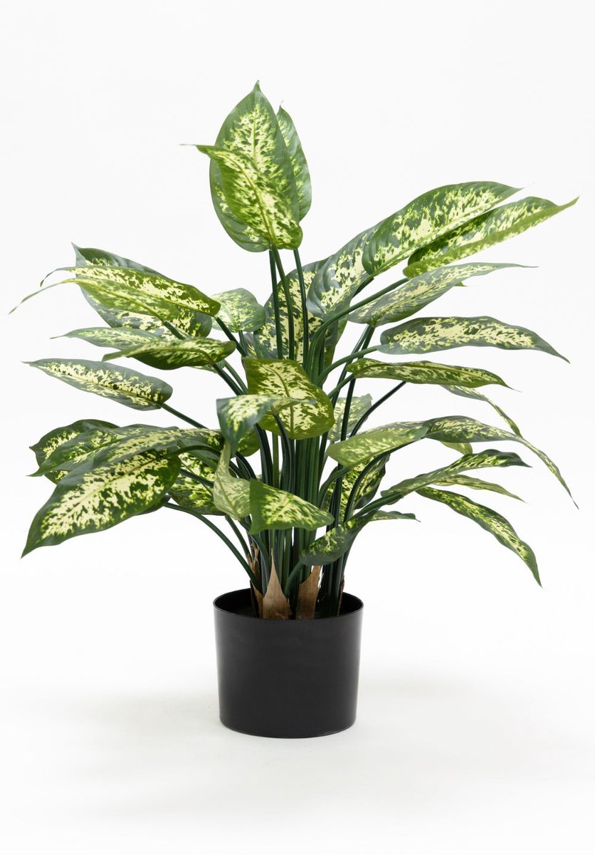Dieffenbachia Kunstplant 70cm