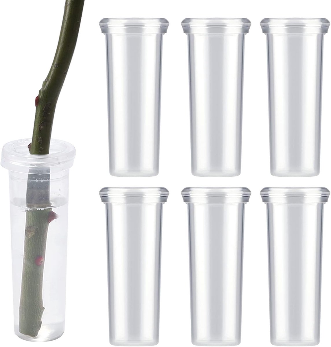 Set van 6 grote plastic waterbuizen voor bloemen met deksel, ideaal voor vers bloemenarrangementen en melkdistel snijwerk, 11x3.5cm (transparant)