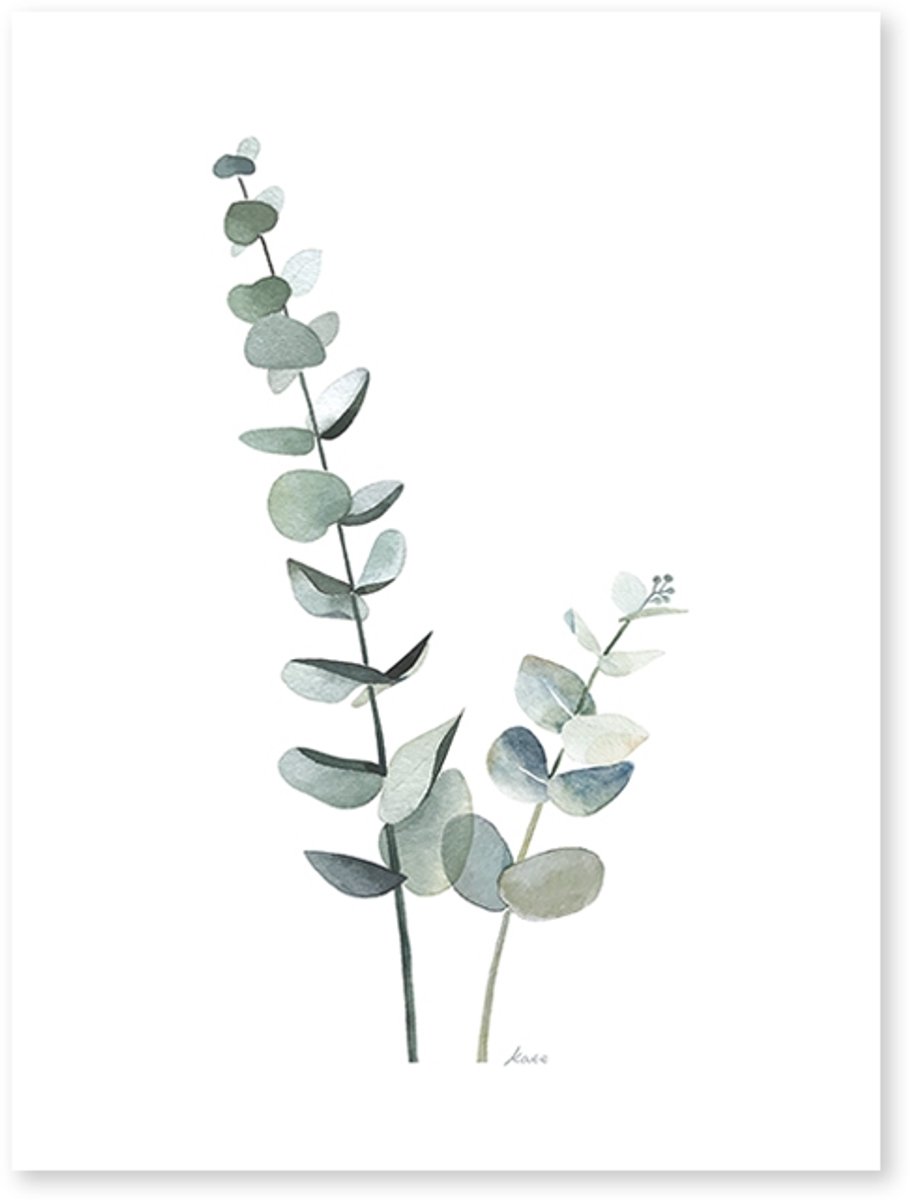 Lilipinso Greenery Poster - Eucalyptus (30x40cm) (op=op)