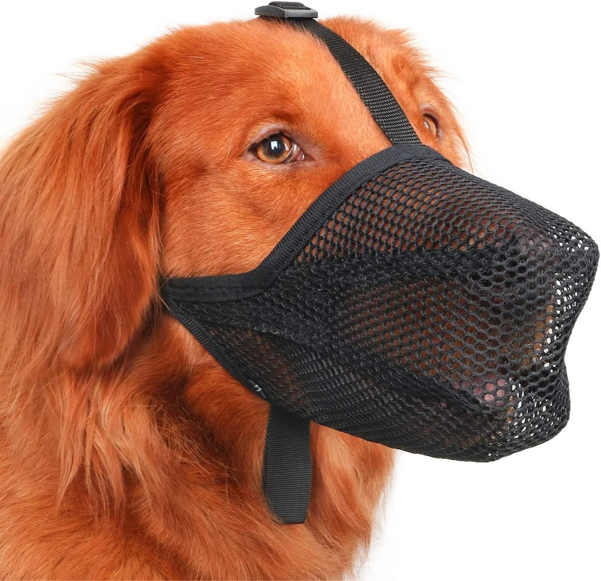 Muilkorf voor Honden - Afgerond Mesh, Ademend, Verstelbaar - Bescherming Tegen Bijten en Kauwen - Voor Kleine, Middelgrote en Grote Honden - XL
