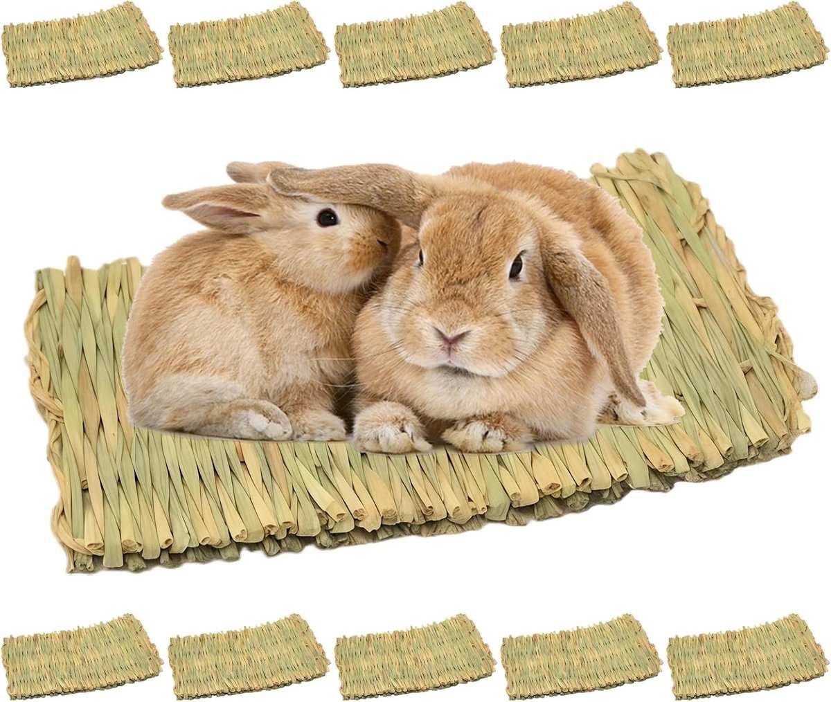 10 stuks grasmat voor kleine dieren: 28 x 20 cm kauwspeelgoed, konijnengrasmat, natuurlijke handgeweven grasmat veilig, duurzaam en veilig grasmat voor kleine dieren voor binnenkooi