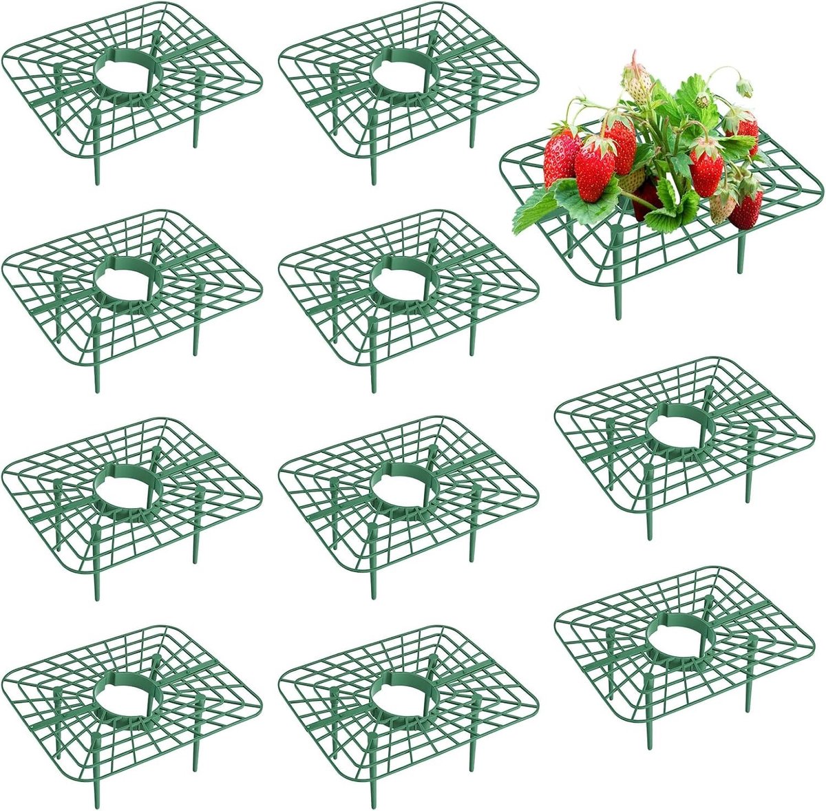 Bescherming voor Aardbeien en Planten, Slakkenbeschermer, Tuinaccessoires Tegen Rot en Schimmel, Set van 10