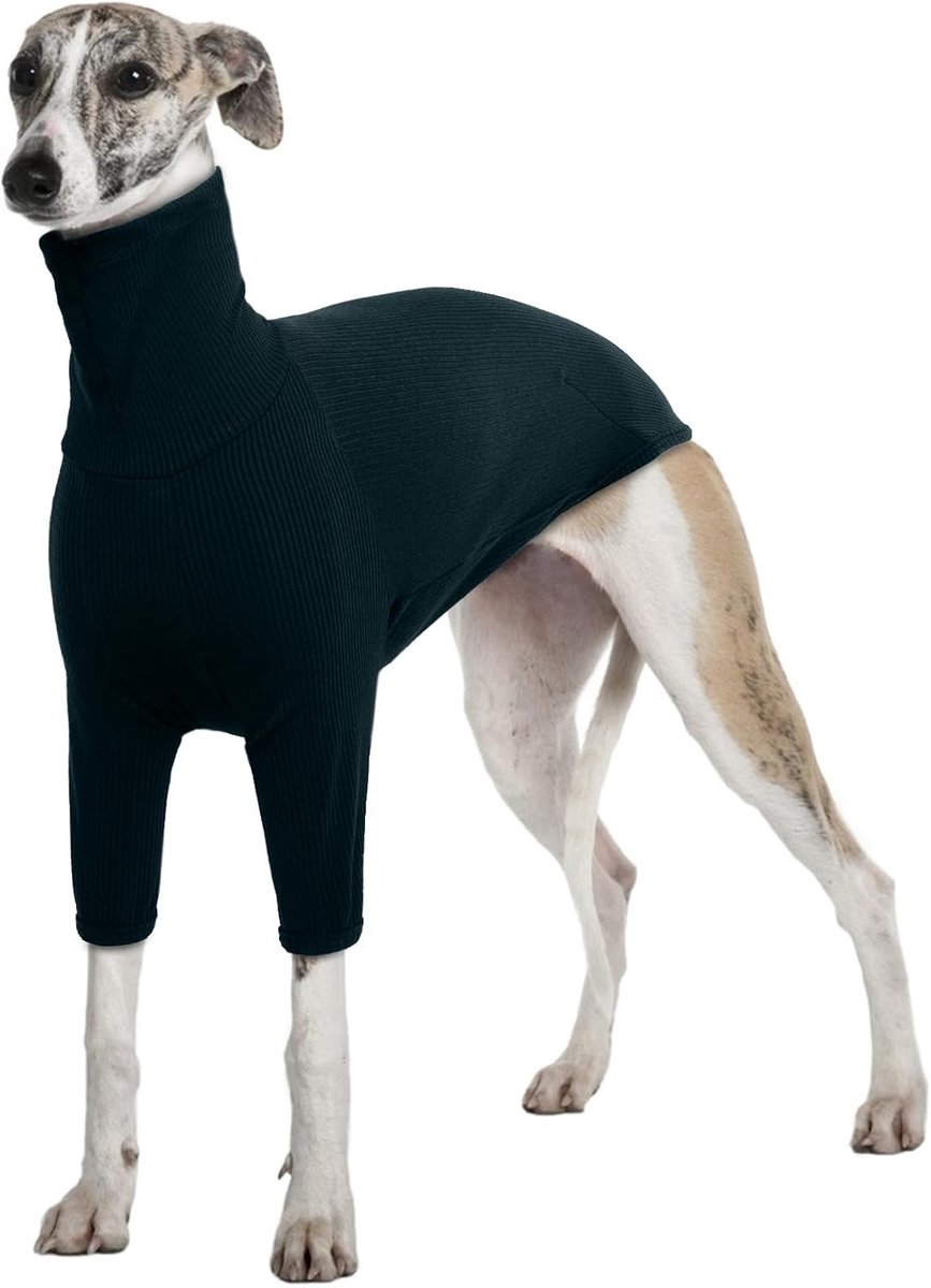 Winterjas, Salukis Trui Greyhound Winterkleding Hond T-shirt Lente Herfst Hond Jumpsuit Pyjama (Donkergroen, 3XL)
