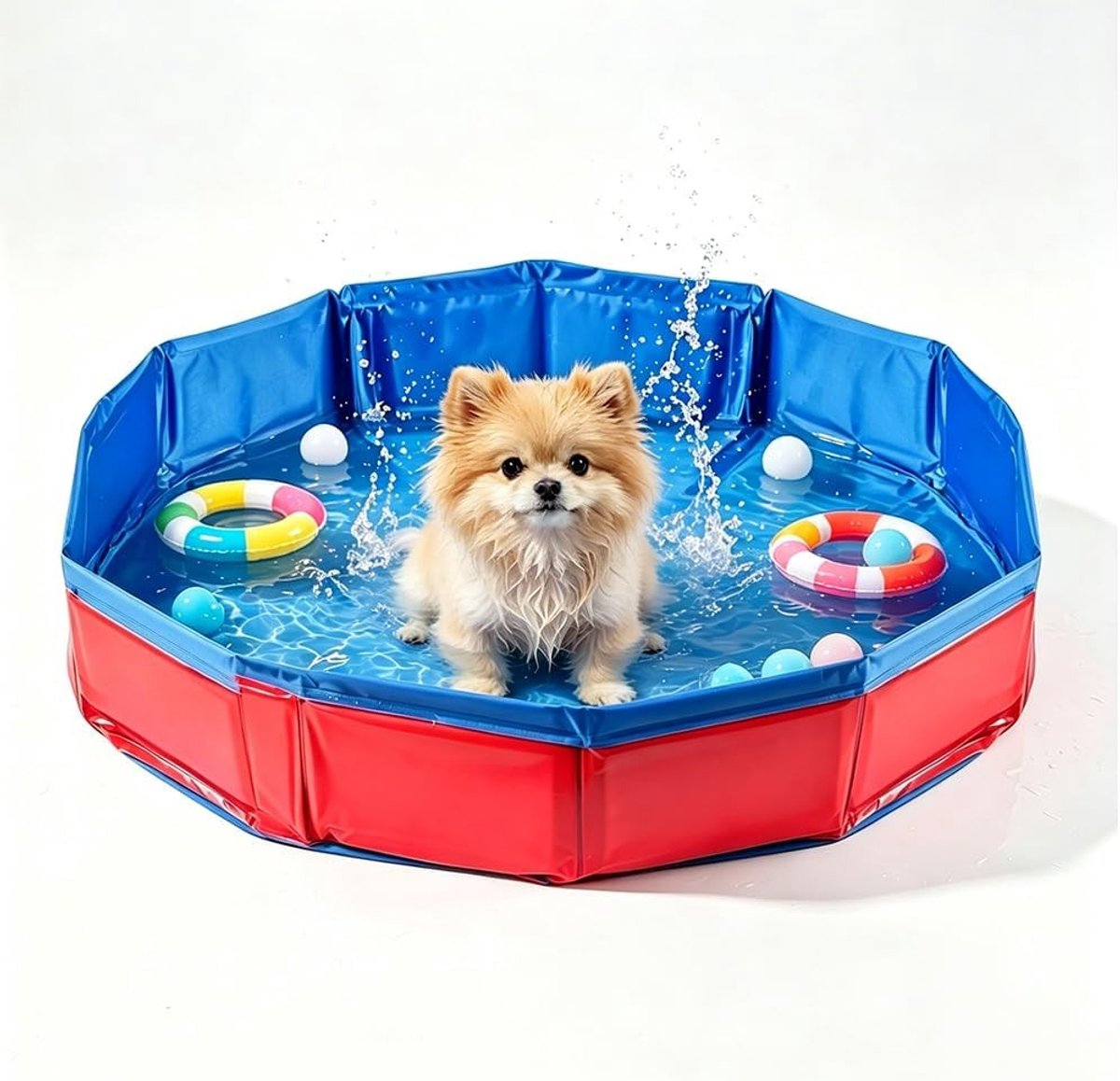 Opvouwbare Hondenpools voor Kleine Honden en Katten, Ideaal voor Zomerplezier, 50 x 10 cm, Geschikt voor Dieren, Draagbare Zwembad voor Huisdieren