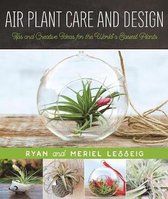 Air Plant Care and Design