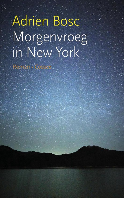 Morgenvroeg in New York - Adrien Bosc | Northernlights300.org