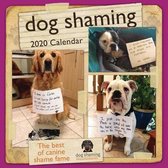 Dog Shaming 2020 Square Wall Calendar