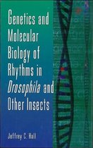 Genetics and Molecular Biology of Rhythms in Drosophila and Other Insects