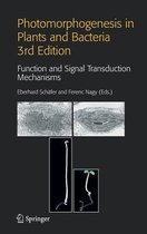 Photomorphogenesis in Plants and Bacteria