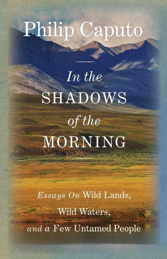 In the Shadows of the Morning - cover