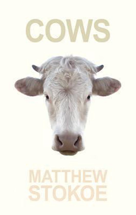 Cows, Matt Stokoe 9781936070701 Boeken