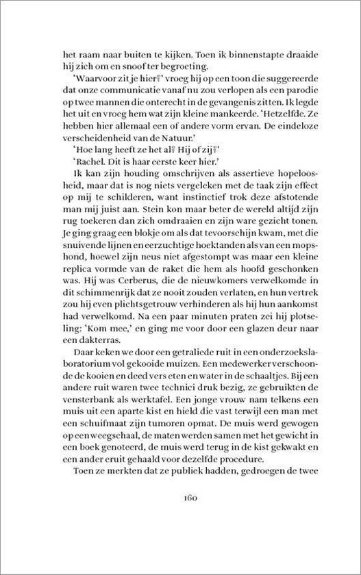 Het lam