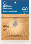 Edelsteen Hanger Sterrenbeeld Waterman - Chalcedoon Edelsteen Hanger Sterrenbeeld Waterman - Chalcedoon