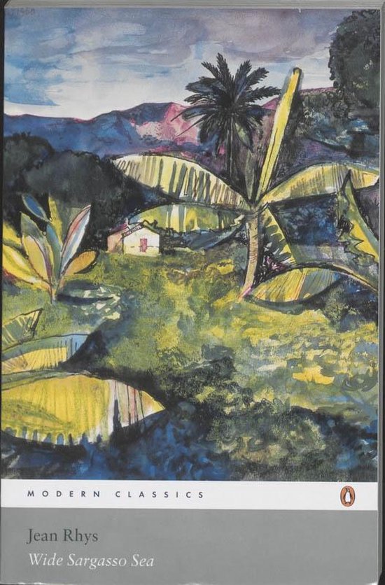 Penguin WIDE SARGASSO SEA: STUDENT EDITION, Anglais, Livre broché, 192 pages