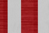 Dutch Wallcoverings vliesbehang streep - rood/grijs