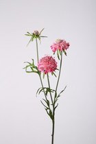 Scabiosa - zijden bloem - roze - topkwaliteit - 57cm