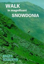 Walk in Magnificent Snowdonia