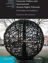 Omslag Domestic Politics and International Human Rights Tribunals