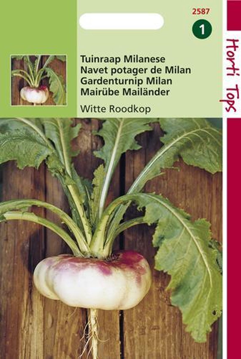Hortitops Zaden - Rapen Milanese (Platte) Witte Roodkop