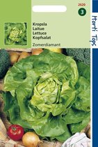Hortitops Zaden - Kropsla Neckarreuzen Sel. Zomerdiamant