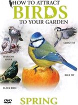 How to Attract Birds - Spring