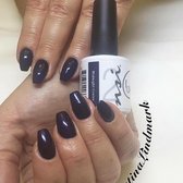 NSI Polish Pro Midnight