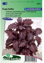 Sluis Garden - Basilicum Purple Ruffles (Ocimum basilicum)