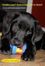 Zwarte puppy bijt op een blauw-geel speeltje. Tekst: "Drukke pup? Daar is iets aan te doen!"