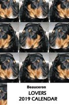Beauceron Lovers 2019 Calendar