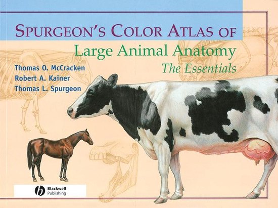 Spurgeons Color Atlas of Large Animal A - cover