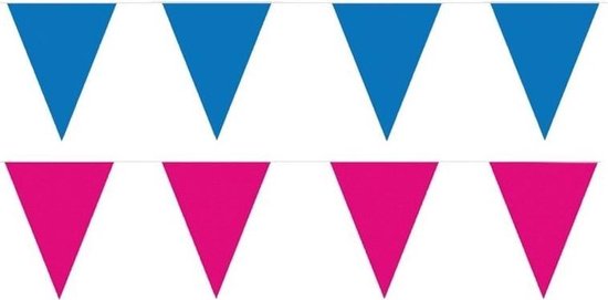 Roze/Blauwe feest punt vlaggetjes pakket - 120 meter - slingers/  vlaggenlijn | bol.com