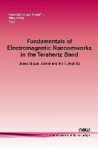 Fundamentals of Electromagnetic Nanonetworks in the Terahertz Band