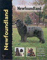 Newfoundland