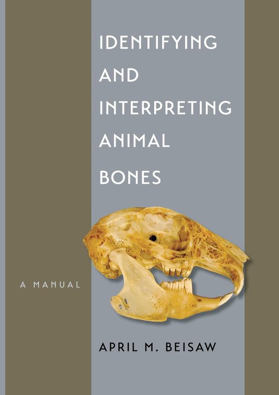 Identifying and Interpreting Animal Bones - cover