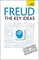 Freud: The Key Ideas, Psychoanalysis, dreams, the unconscious and more - Ruth Snowden