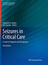 Seizures in Critical Care