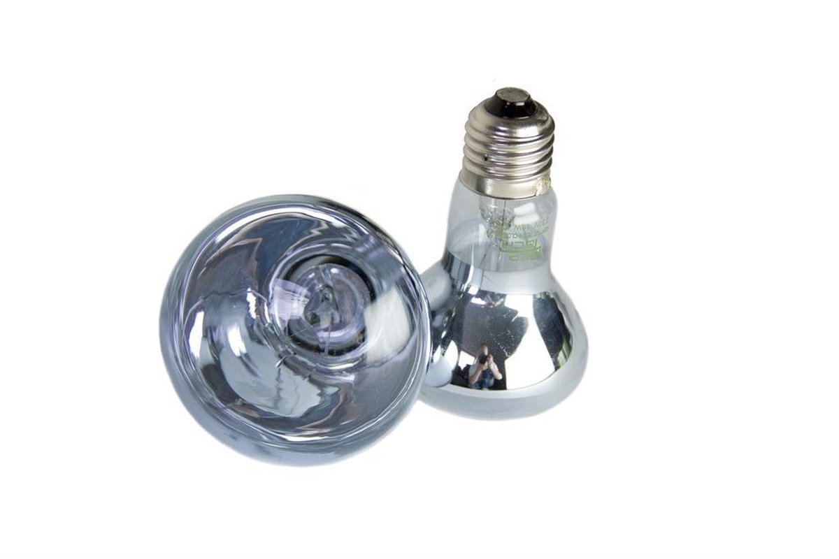 RepTech Daglichtlamp 40 Watt - Terrarium