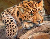 Eagle® Diamond Painting Volwassenen - Diamond Painting Kinderen - Panter (liggend) - 50x40cm