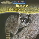 Raccoons Are Night Animals/Los Mapaches Son Animales Nocturnos