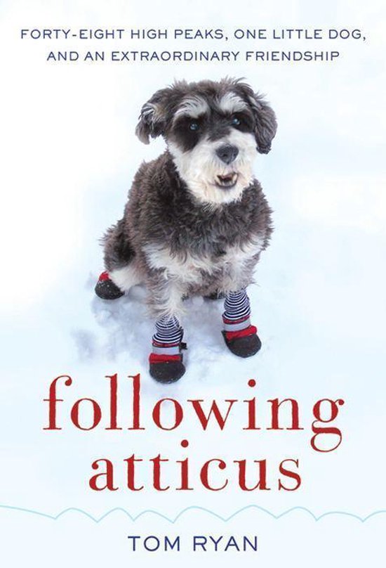 Following Atticus - cover